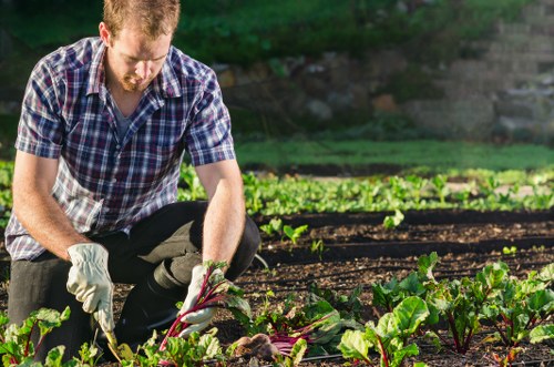 Inspector reviewing garden beds during a site visit