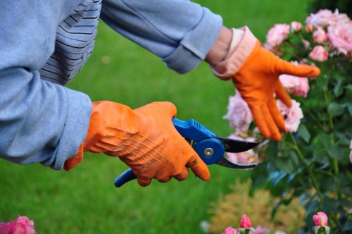 Workers clearing an overgrown garden in a narrow London terrace